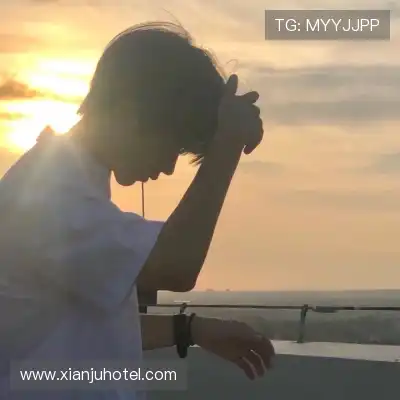 蓬盈晓